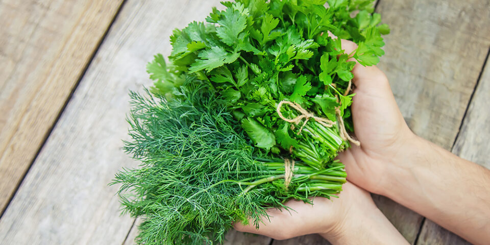 Registered dietitian Lisa Akly listed five summertime herbs perfect to top off your favorite healthy summer meal ideas.