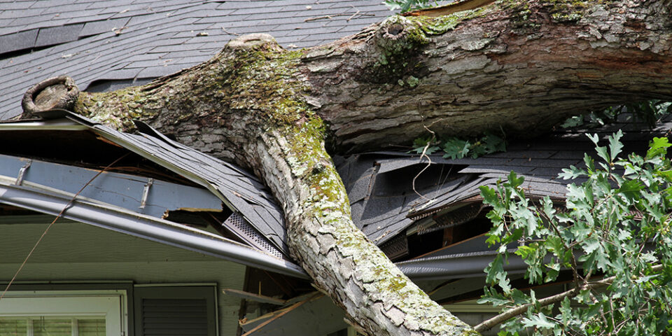 Emergency medicine physician William Jackson, MD, said there are several common injuries that people sustain during storm cleanup. Here are the most frequent types of injuries to watch out for and some tips to prevent them. More on safely cleaning up after a storm.