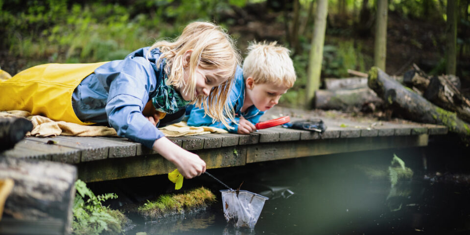 Summer Safety Spotlight: The Truth About Naegleria fowleri